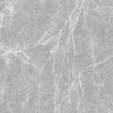 TERRE GREY - POLISHED - 24x48