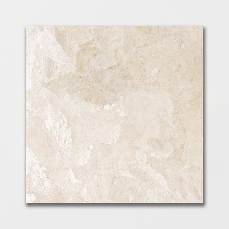 Marble Systems - Diana Royal Polished Marble Tile 24x24 - TL13739