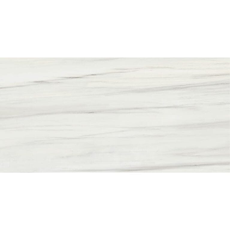 Marble Systems - Carrara Zebrino Honed Marble Look Porcelain Tile 24x48 - WIS12544