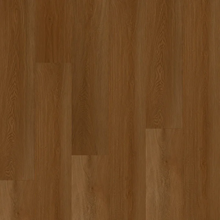 eTERRA Black Series Cleo 9.05 X 70.87